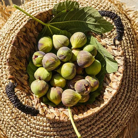 Ikies Of Mykonos فندق مبيت وإفطار Mykonos Town