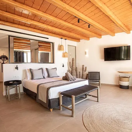 Ikies Of Mykonos 5* Mykonos Town