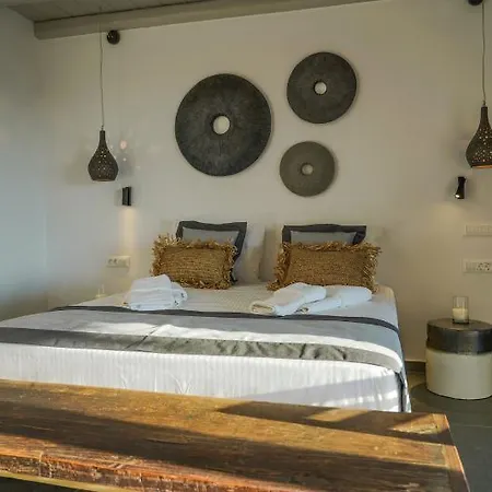 Ikies Of Mykonos فندق مبيت وإفطار 5*