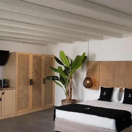 فندق مبيت وإفطار Ikies Of Mykonos