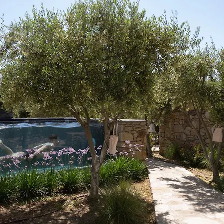 Bed & Breakfast Ikies Of Mykonos