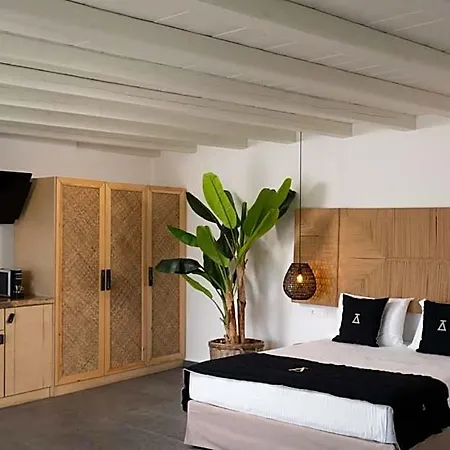 Ikies Of Mykonos 5*